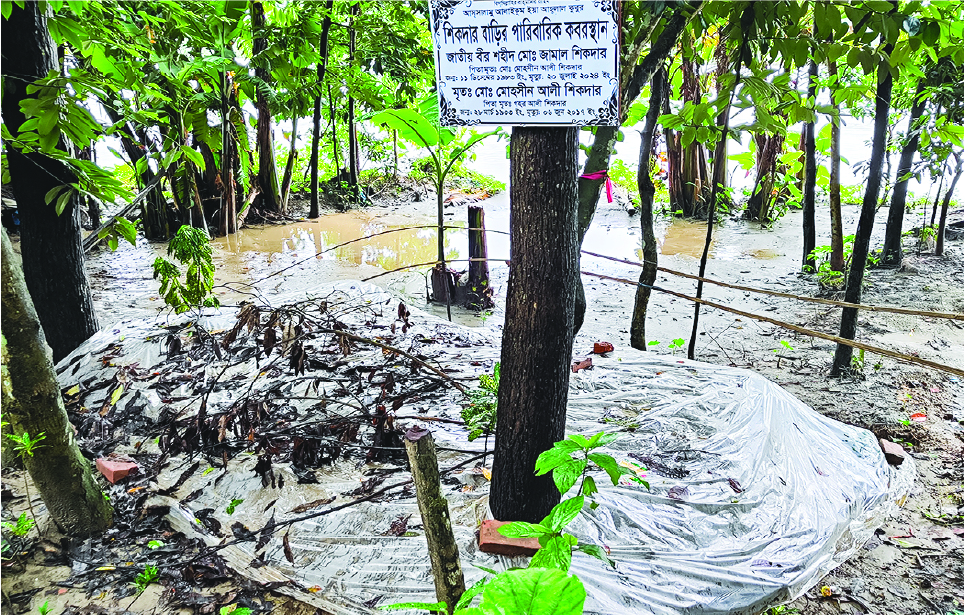 Image of  মো: জামাল হোসেন শিকদার